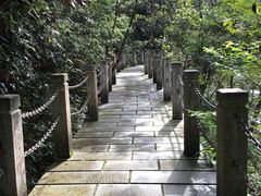 -九龙江国家森林公园