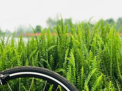 -白鹭湾湿地公园