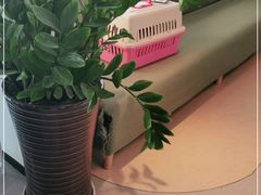 -御宝贝·A梦猫科宠物医院(国际猫友好医院)