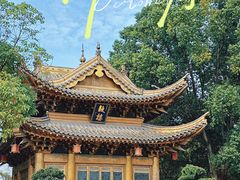 -上海东林寺(金山区)