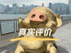 -星光大道