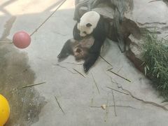 -宁波野生动物园