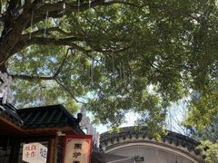 -溪口-滕头旅游景区