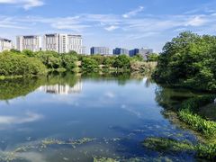 -瑶湖湿地自然保护区