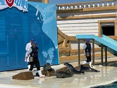 -秦皇岛乐岛海洋王国