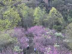 -天台山赤城山景区
