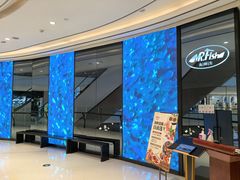 -Mr·Fish鱼鲜生海鲜放题(银泰in99店)