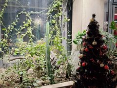 -漪龙台·B26 Rooftop Lounge