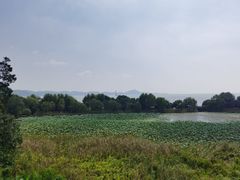 -上海市保健医疗中心