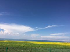 -青海湖国家重点风景名胜区