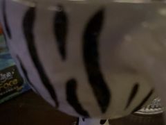 -Uncle Kosto科斯托·中东菜