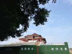 -大湾区中央湿地公园