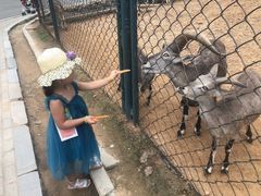 -大连森林动物园