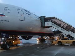 -谢列梅捷沃国际机场