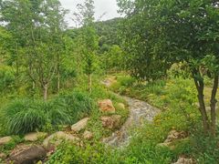 -羡餐厅·杭帮菜·淳菜(千岛湖自由洲际殿店)