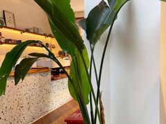 -Line来恩咖啡(石厦花园店)