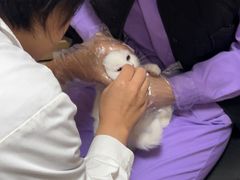 -瑞派宠物医院·24h·骨外科·皮肤科·全科宠物医疗转诊中心(沈阳浑南院)
