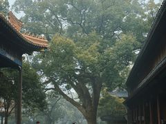 -普陀山风景名胜区-法雨禅寺