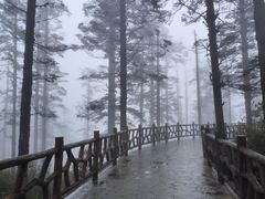 -瓦屋山景区