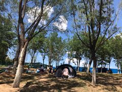 -永定河休闲森林公园