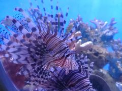 -海合安武汉极地海洋公园