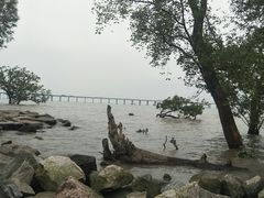 -宝安西湾红树林湿地公园