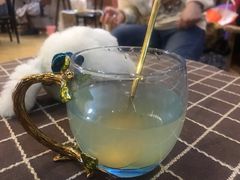 -万小咖.猫咖(中山路天虹店)