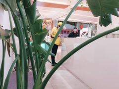 -树夏(金楠天街店)