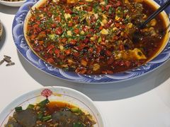 -新概念来凤鱼(璧山店)