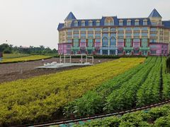 -百万葵园