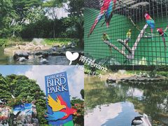 -新加坡飞禽公园