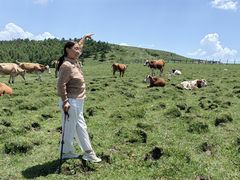 -芦芽山旅游度假区