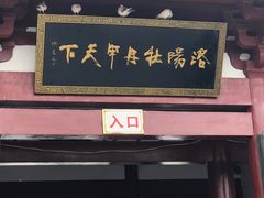 -神州牡丹园