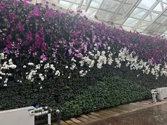 -石家庄市植物园
