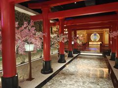 -蓝鲸湾汤泉(包河店)