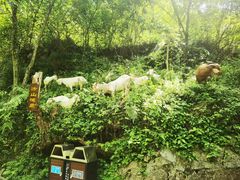 -清江方山景区