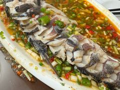 -飞虹鱼馆(春华路店)