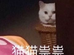 -老五烧烤(盘金华府总店)