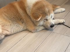 -YCHL Studios健身工作室(市二宫店)