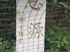 -雨花胜境