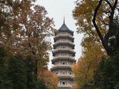 -灵谷景区