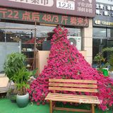 特色餐馆大揭秘
