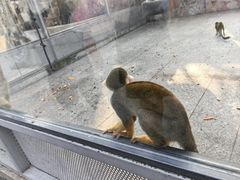 -苏州太湖西山岛开心农场