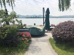 -杭州西湖柳莺里酒店·闻莺厅