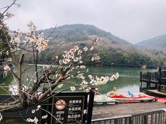 -白马涧龙池景区