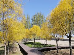 -东郊湿地公园