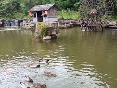-梁野山景区