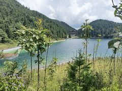 -武陵山森林公园