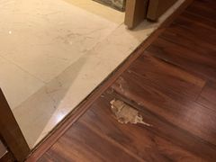 -上海崇明金茂凯悦酒店