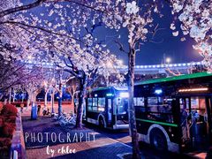 -上海南浦大桥长途旅游客运站